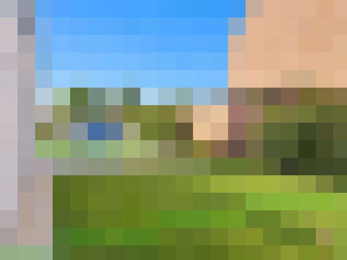  / #15