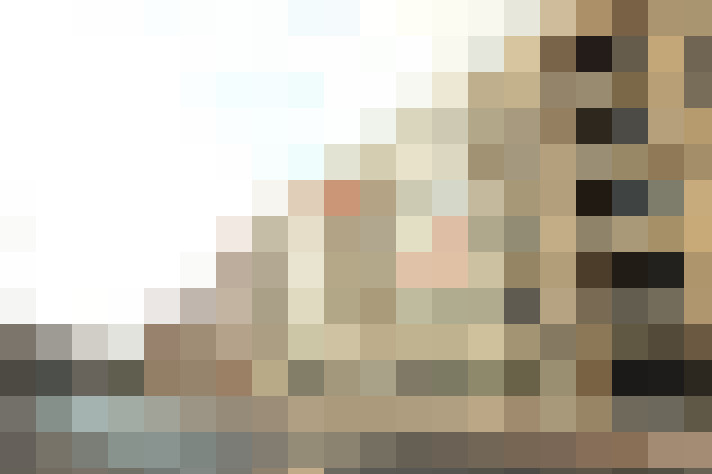  / #21