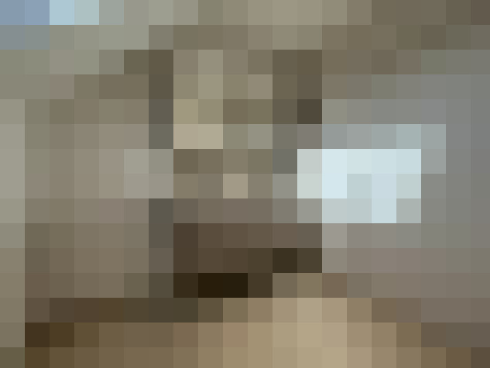  / #23