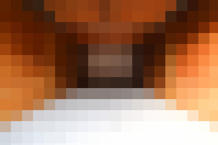  / #15