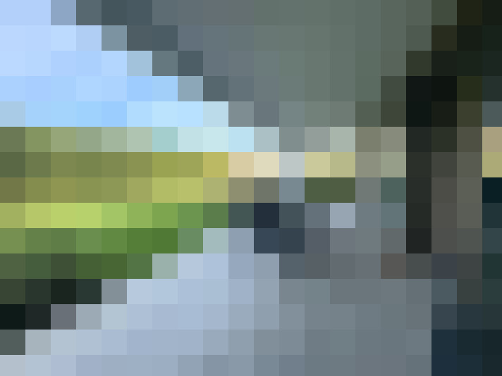  / #14