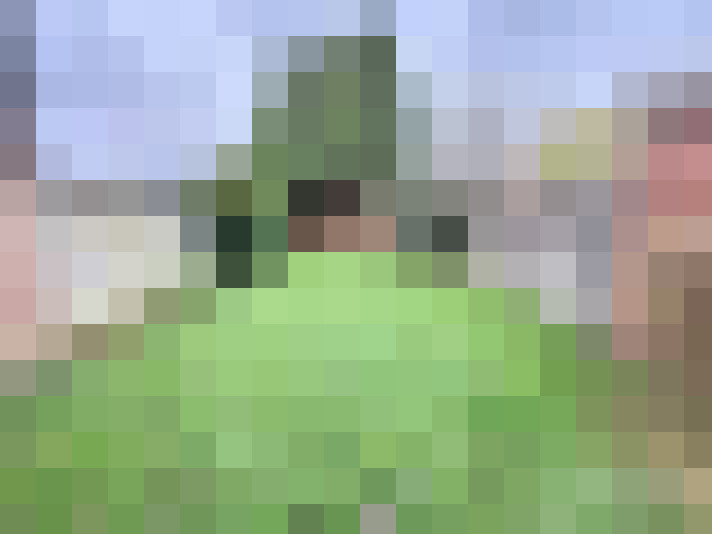  / #11