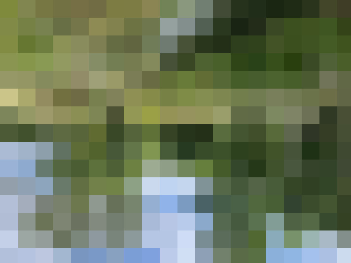  / #16