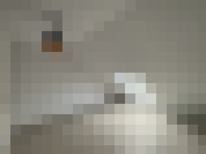  / #15