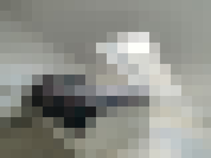  / #8