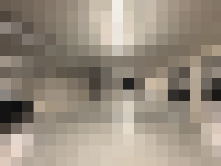  / #16
