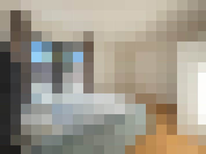  / #22