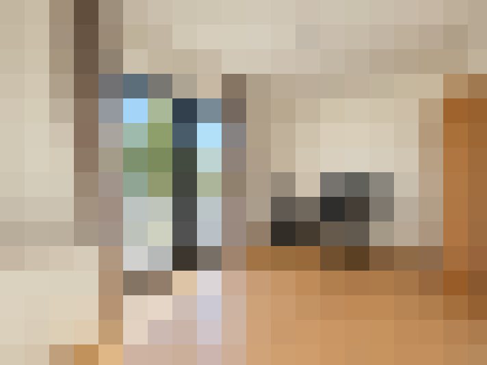  / #26