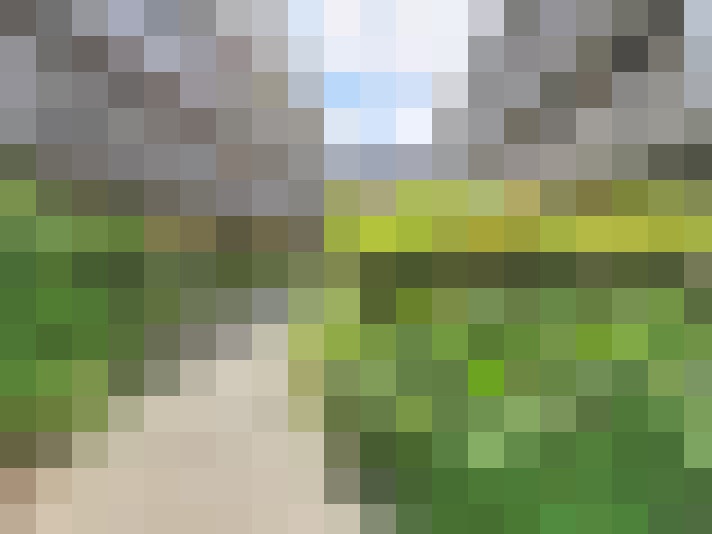  / #16