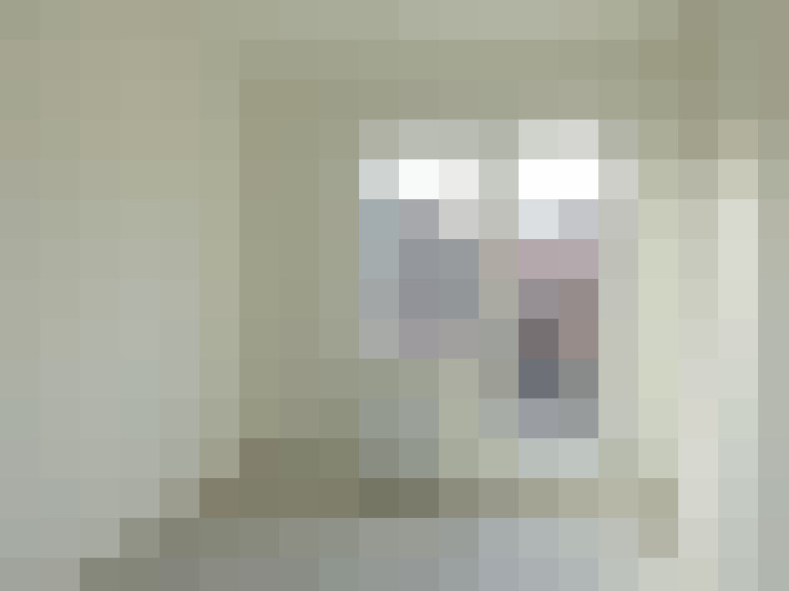  / #8