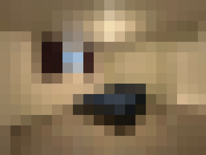  / #11