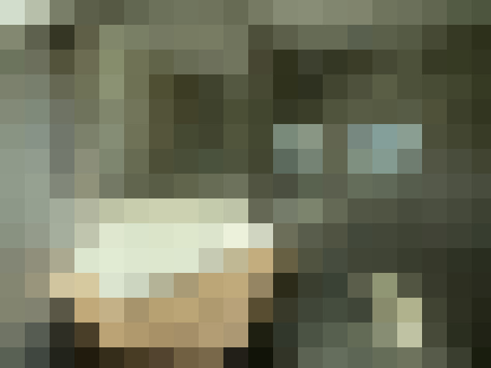  / #15