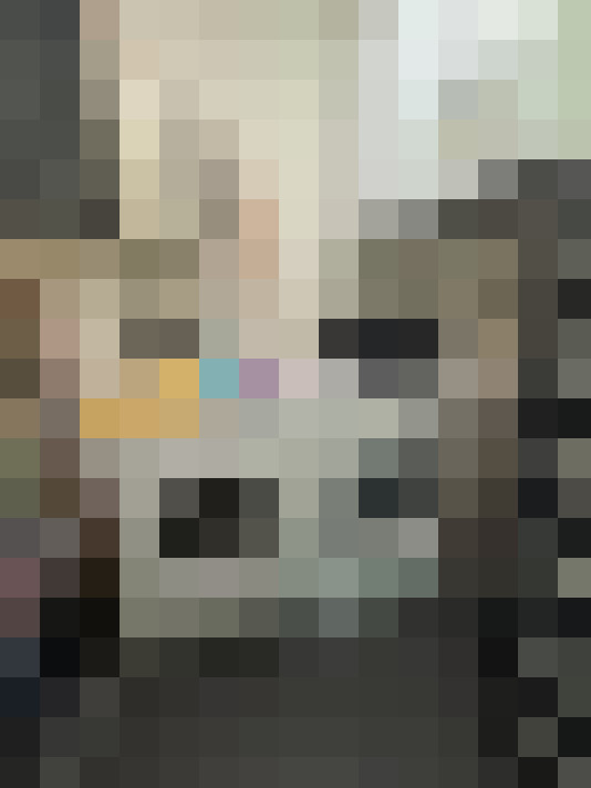  / #16
