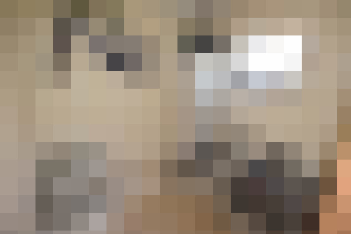  / #15