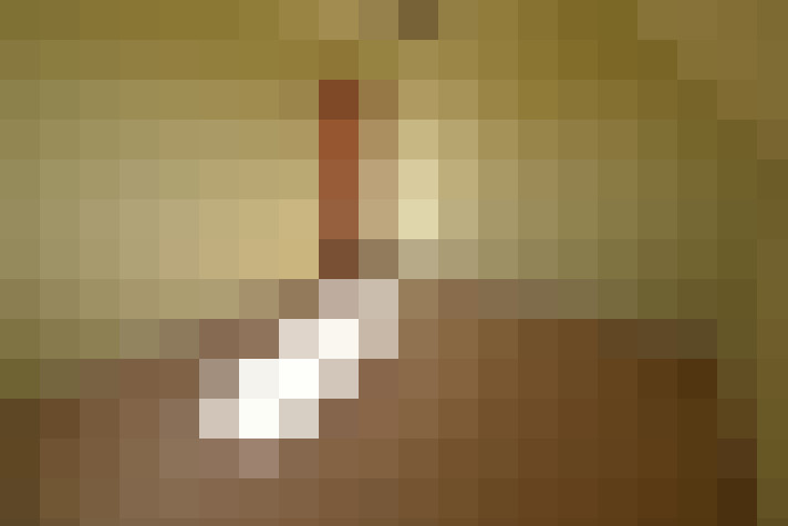  / #11
