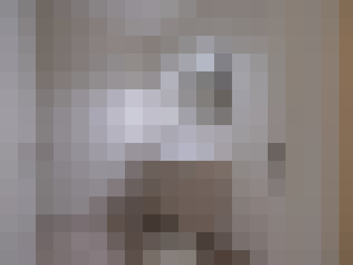  / #11