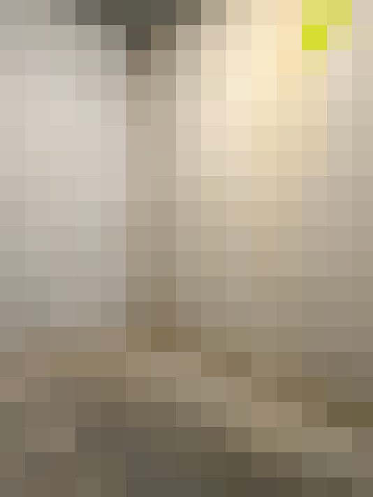  / #18