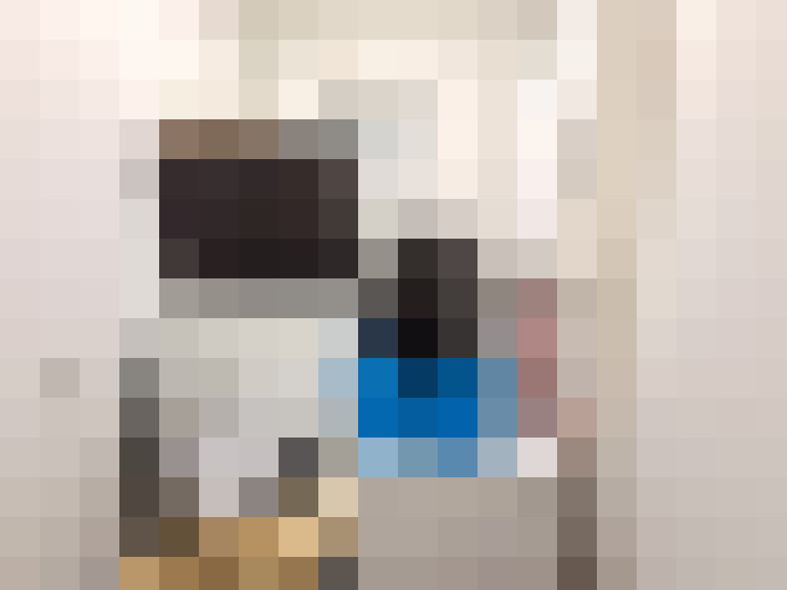  / #11