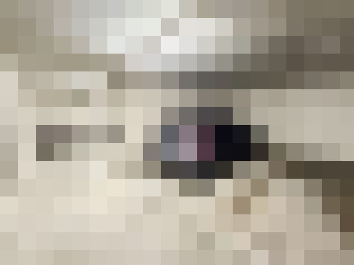  / #13