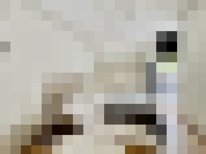  / #7