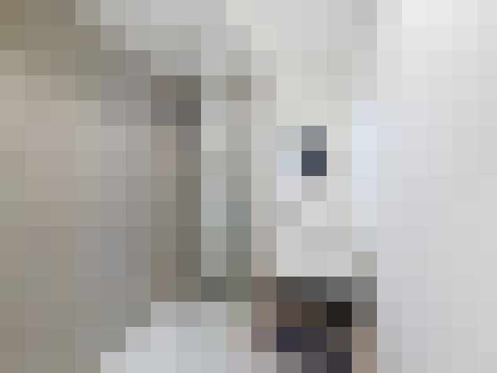  / #6