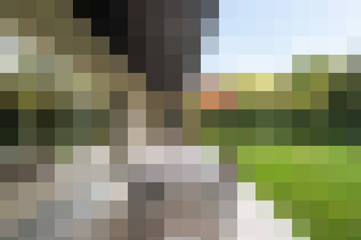  / #18