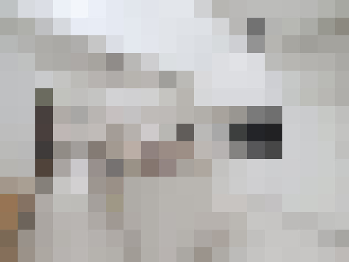  / #8