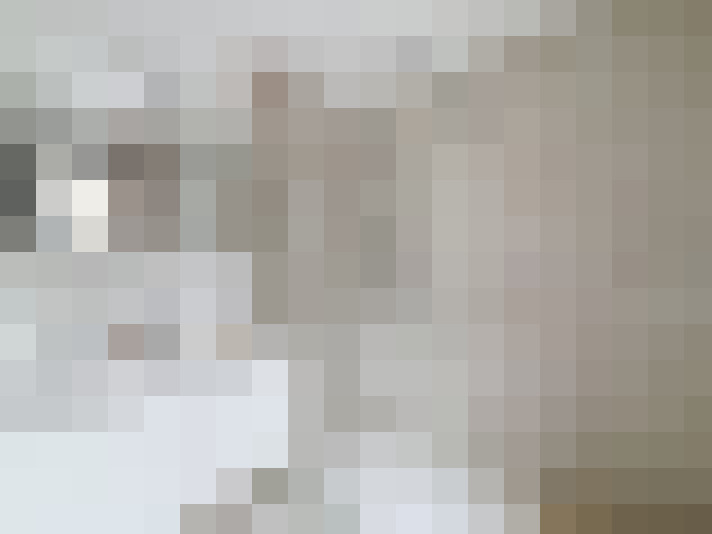  / #14