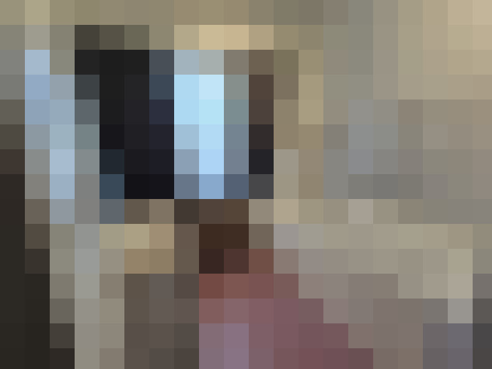  / #15