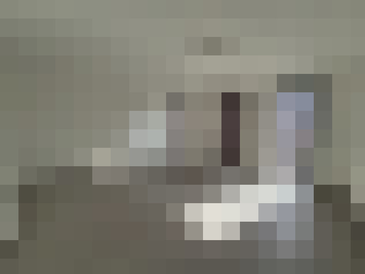  / #12