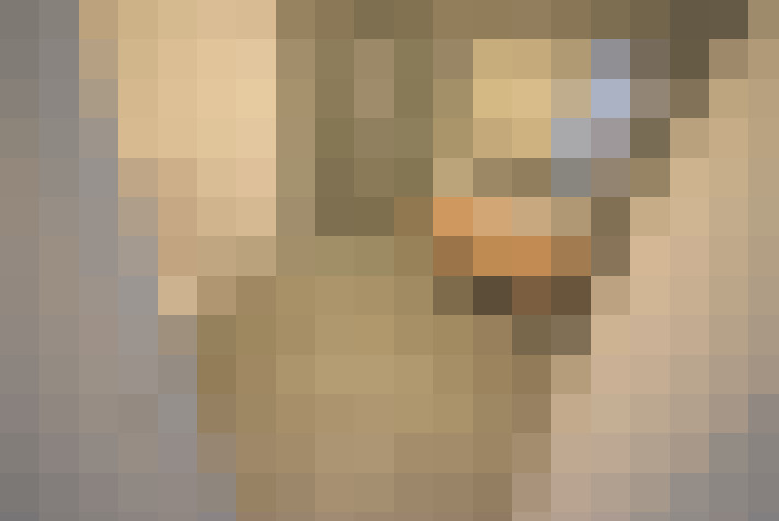  / #12