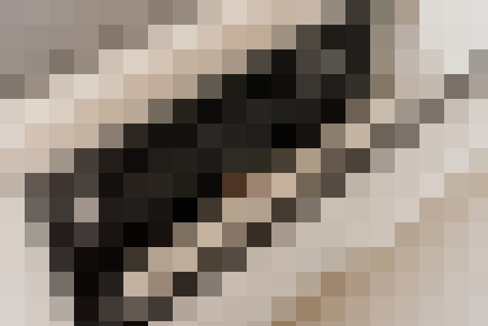  / #15