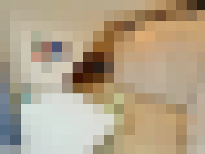  / #12