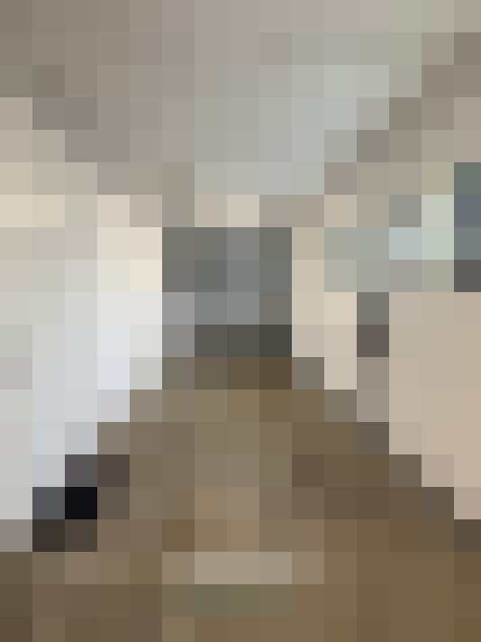  / #21