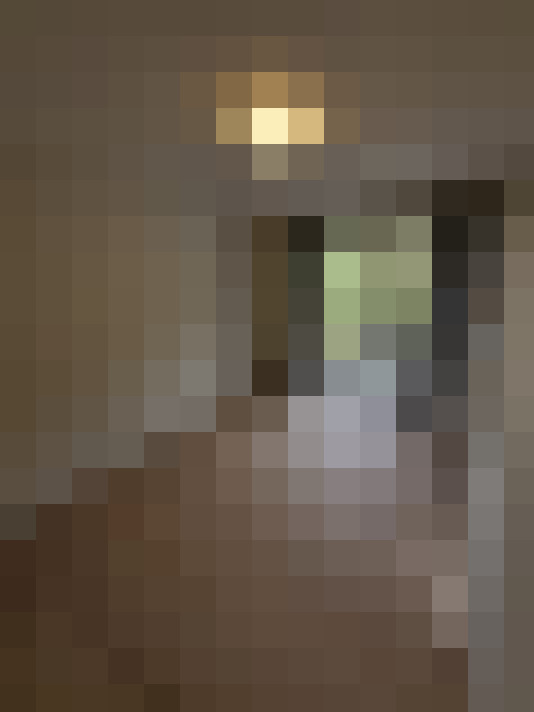  / #11