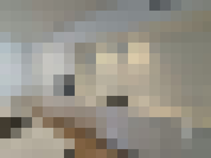  / #6