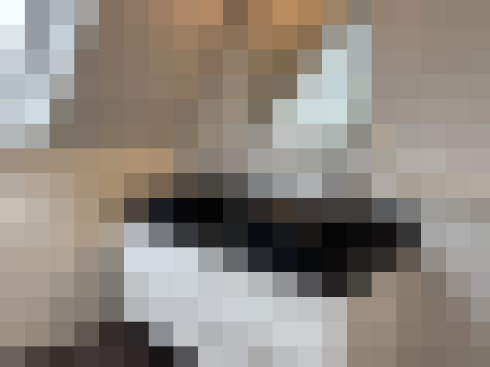  / #15