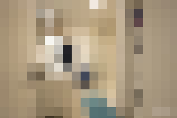  / #8