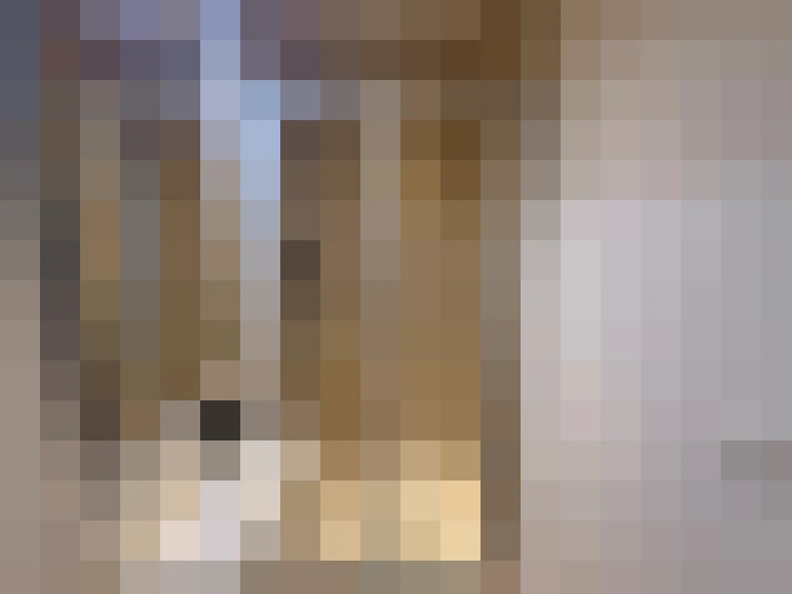  / #16