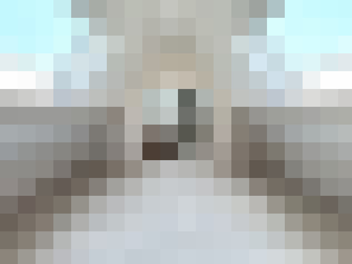  / #22