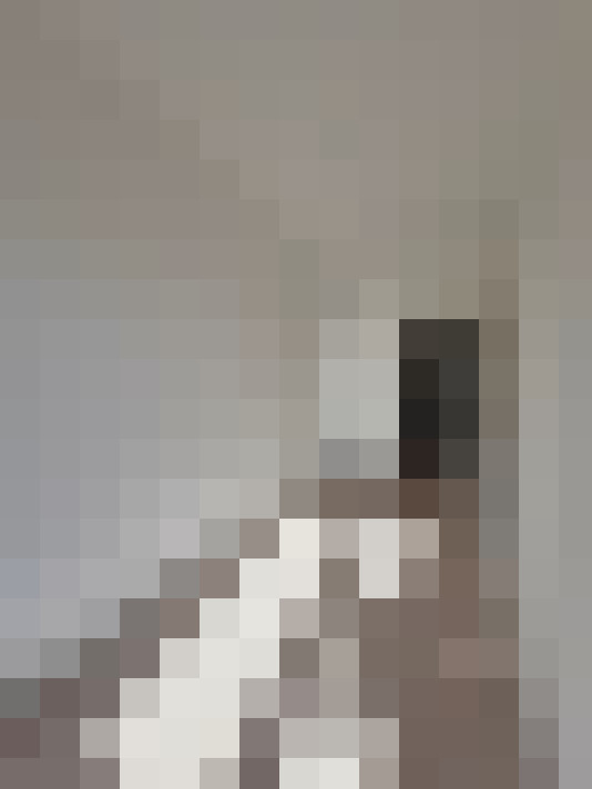  / #11