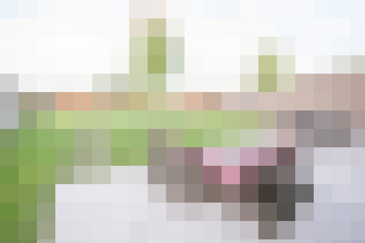  / #17