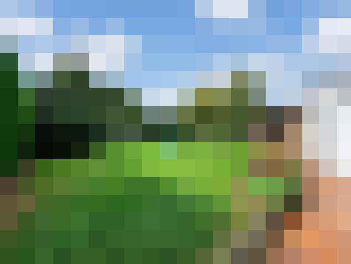  / #14