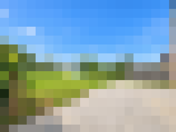 / #16