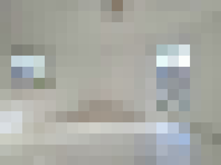  / #22
