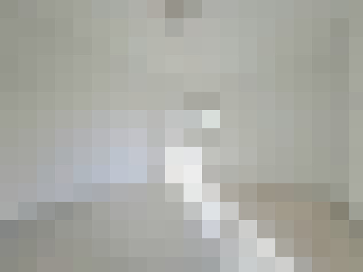  / #23