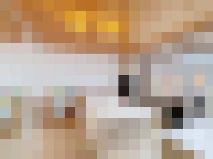  / #14
