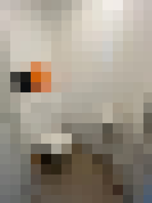  / #11