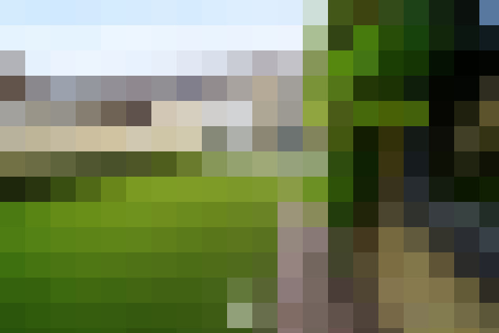 / #19