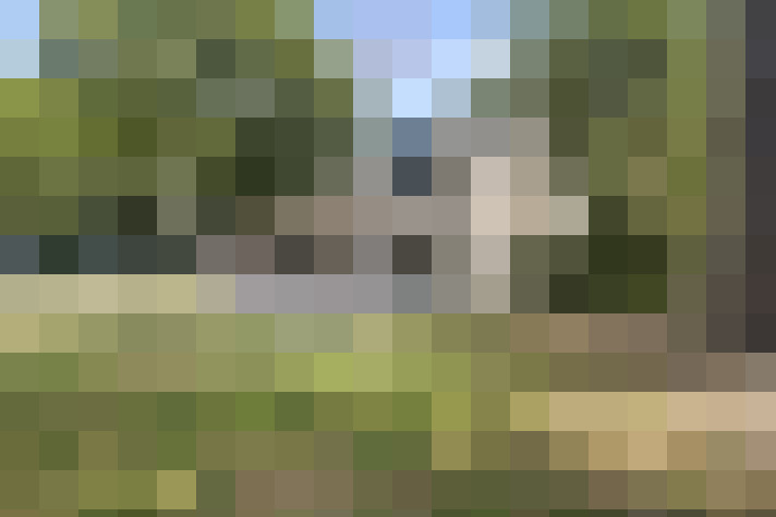  / #16